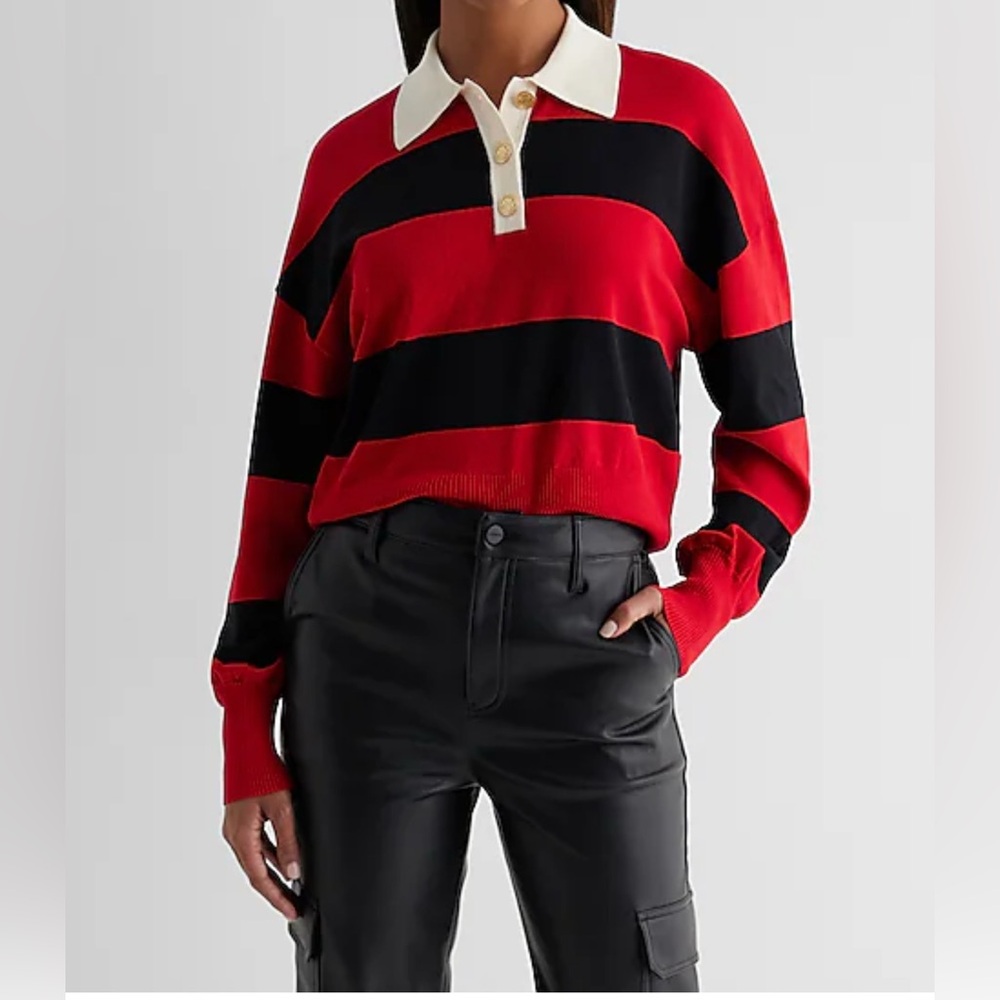 Express Striped Novelty Button Polo Sweater